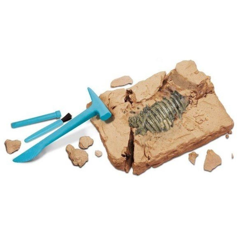 Geoworld Flying Monsters Pteranodon Skeleton Dino Dig Excavation Kit ...